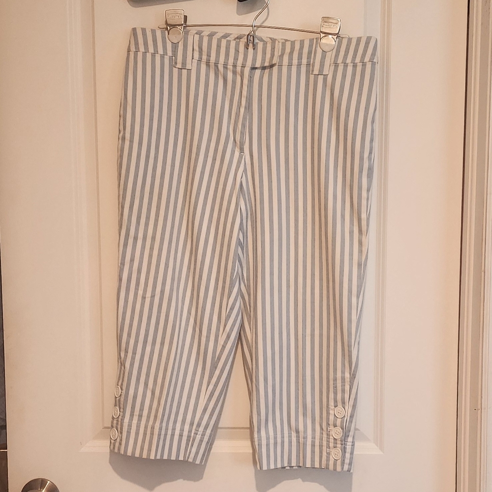 Talbots Womans Pant Blue/White Striped Stretch Cotton Button Detail At Ankle